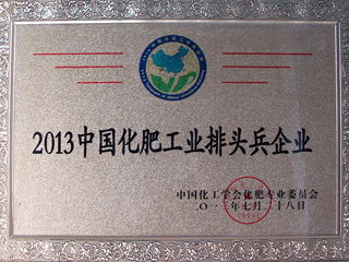 2013中国化肥企业排头兵企业